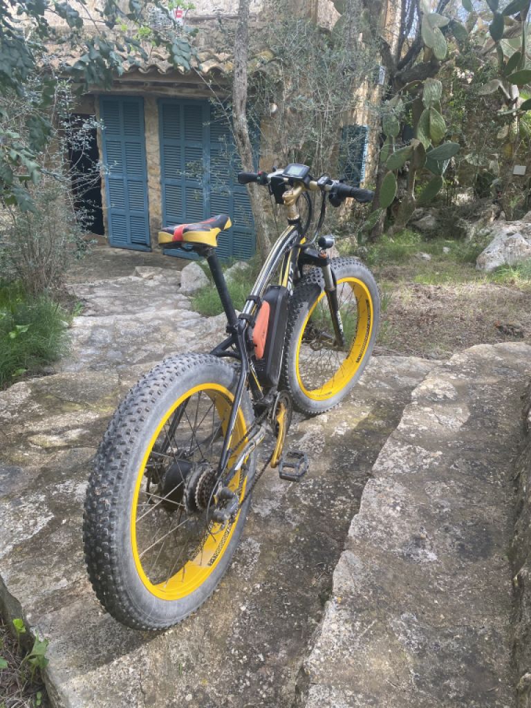 2 elektro Fatbikes von Richbit
