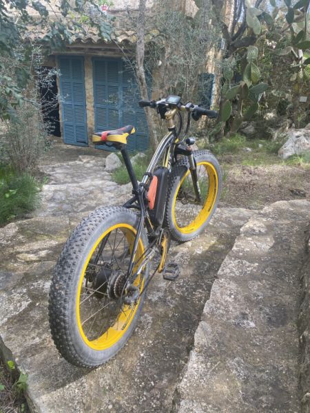2 elektro Fatbikes von Richbit