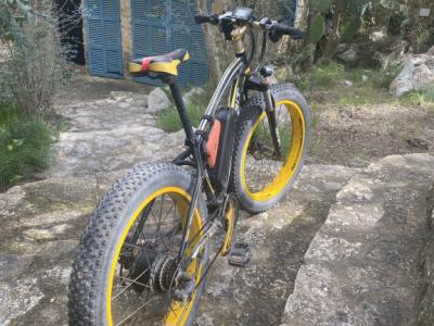 2 elektro Fatbikes von Richbit