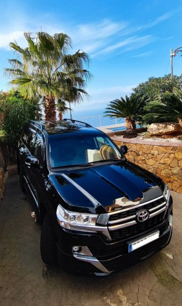 2 Liquidaciones domiciliarias:Plantas,