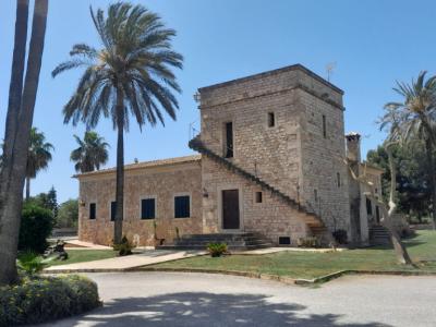 Finca de 2 plantas con Sep. Apartamento de invitados y hermoso jardín cerca de Ses Salines -- F 62 V