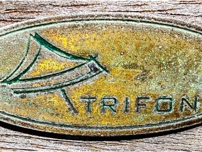 4 sillas de jardín de respaldo alto de teca,