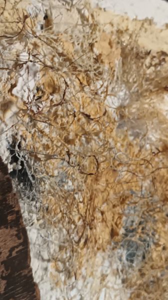 Imagen acrílica con materiales naturales