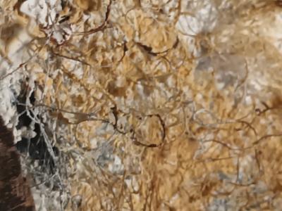 Imagen acrílica con materiales naturales