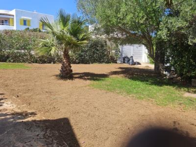 Allrounder Gärtner  bietet Hilfe im Garten