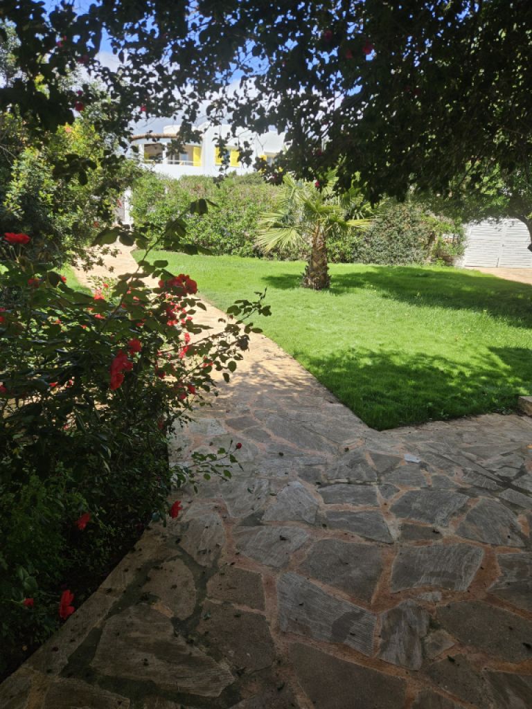 Allrounder Gärtner  bietet Hilfe im Garten