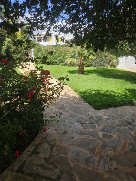 Allrounder Gärtner  bietet Hilfe im Garten