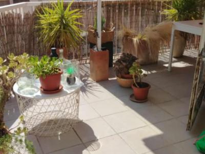 Apartamento junto al mar Cala Major
