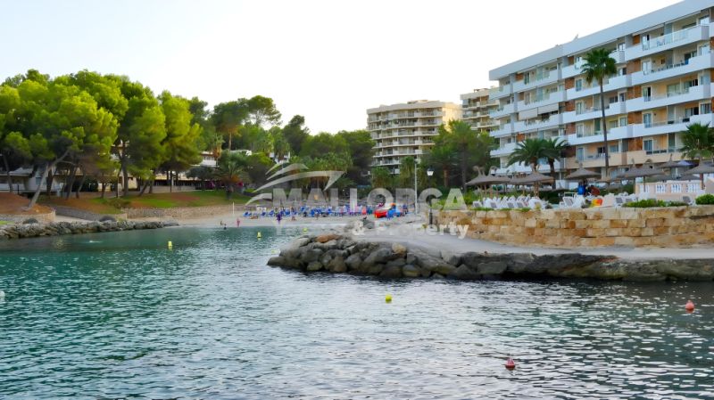 Apartment zur Miete in Cal Vinyes (25. Dez. bis 26. Juni)