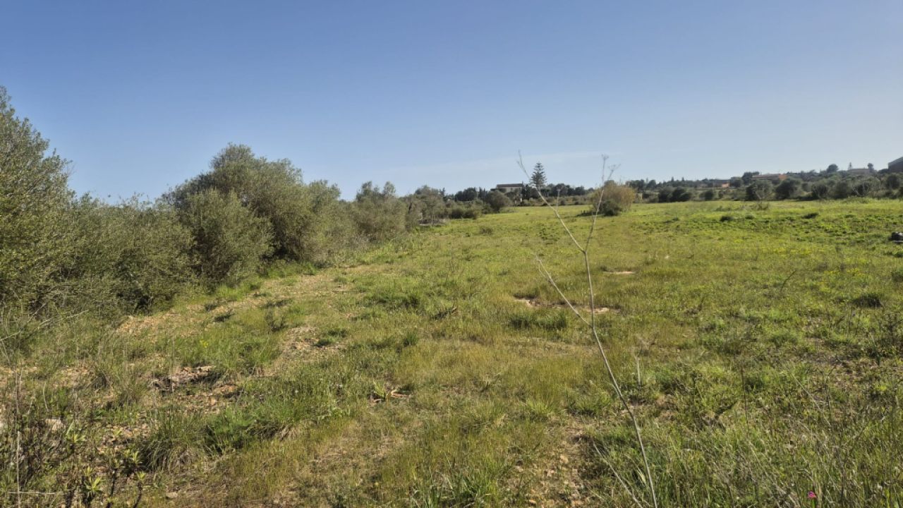 Apartamento en primera línea en Porto Cristo