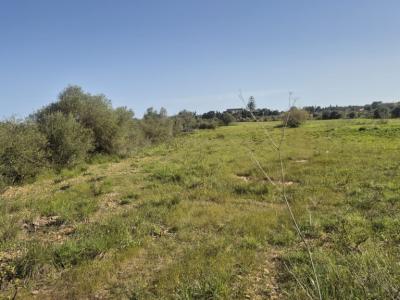 Appartement in erster Meereslinie in Porto Cristo