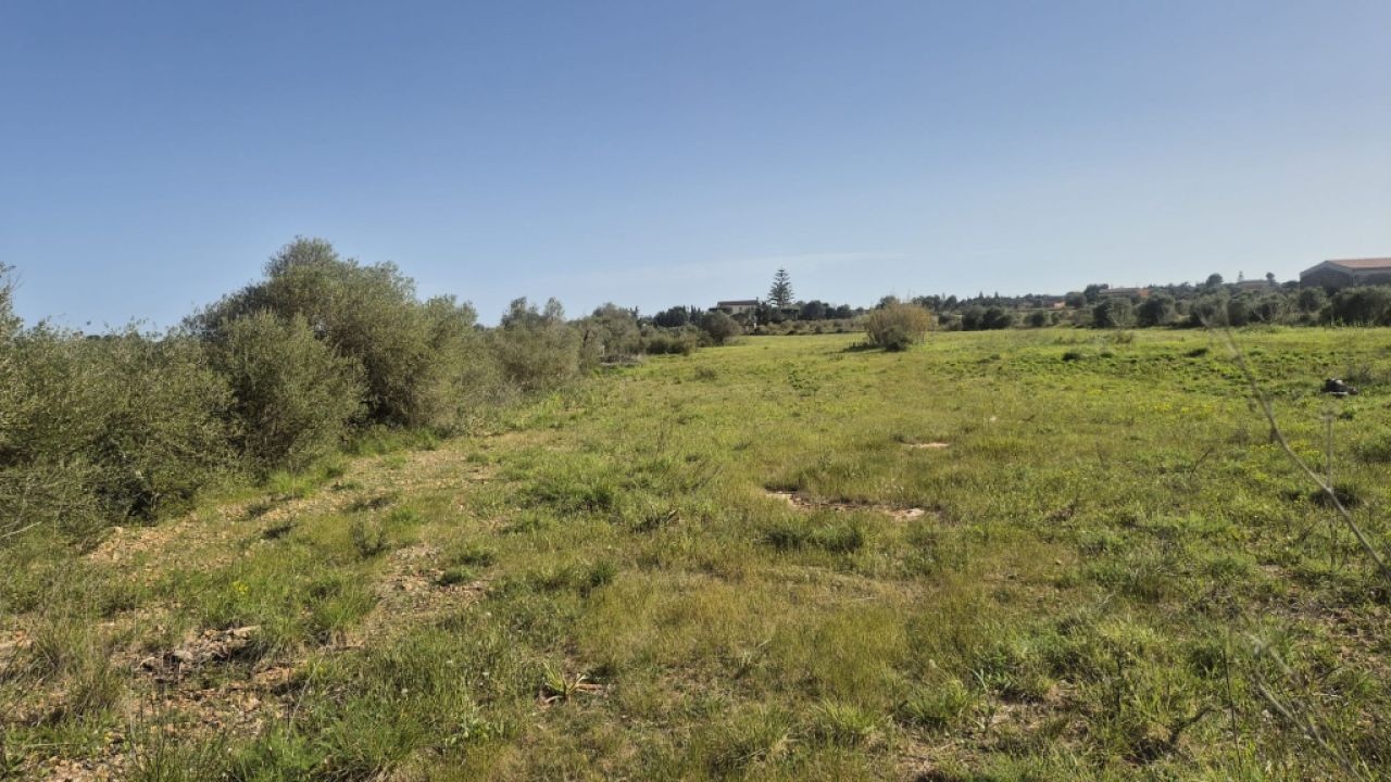 Appartement in erster Meereslinie in Porto Cristo