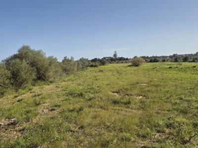 Appartement in erster Meereslinie in Porto Cristo