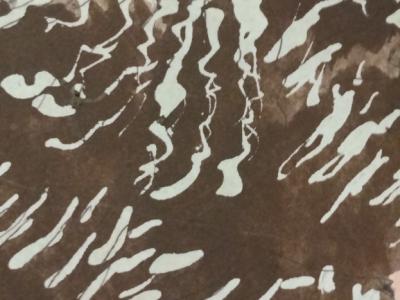 Acuarela de gallina en Blanco y negro