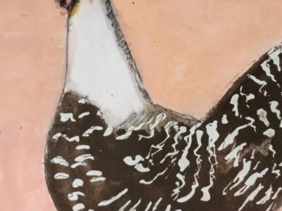 Acuarela de gallina en Blanco y negro