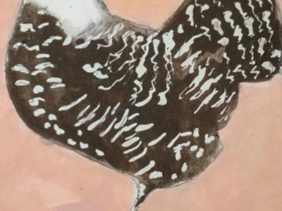 Acuarela de gallina en Blanco y negro