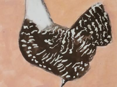 Acuarela de gallina en Blanco y negro