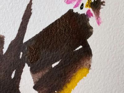 Rooster watercolor on paper