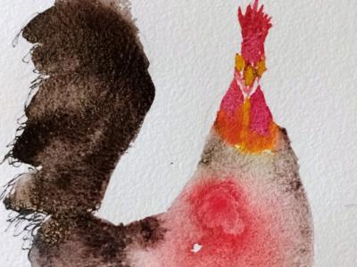 Acuarela de gallo en papel
