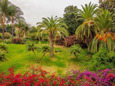 Arbeit in der Nähe von Porto Cristo gesucht - Bereich Garten, Pool und Fincapflege