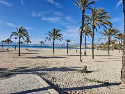 Arenal, amplio apartamento con vista al mar