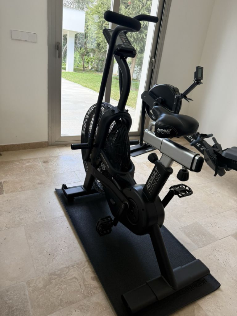 AssaultBike Pro - Profi AirBike / CrossFit Bike / HIIT - Top Zustand
