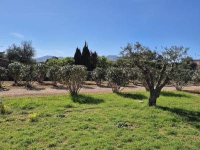 Avantgarde und Natur: Luxusvilla mit Panoramablick zwischen Porto Colom und Manacor