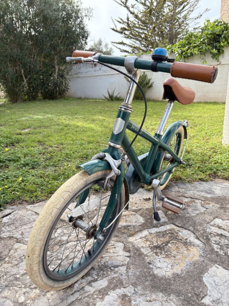 Bicicleta Infantil Banwood 16” Verde