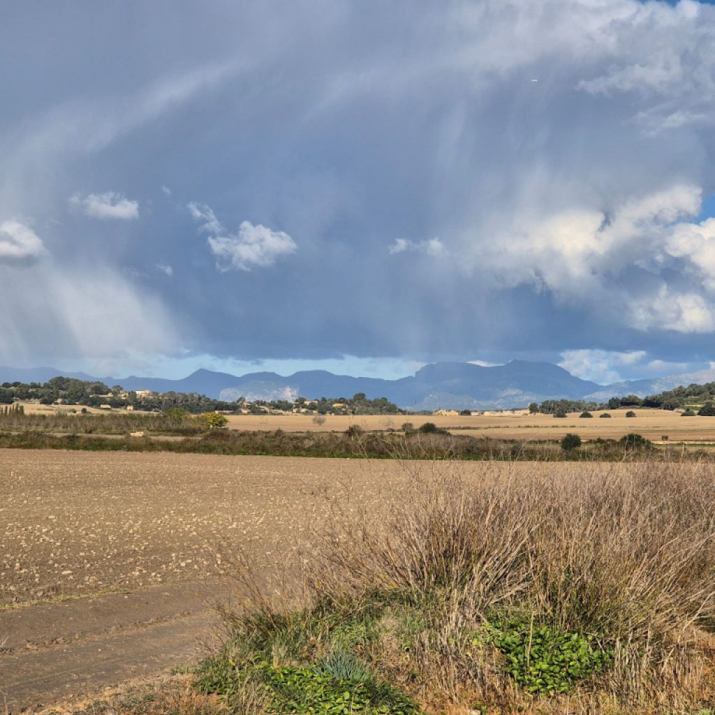 Parcela edificable en venta zona Montuiri