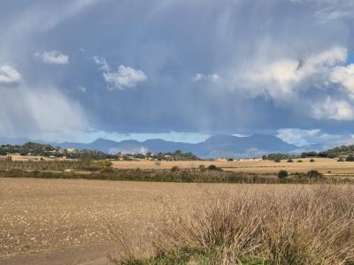 Bau Grundstück zu Verkaufen zona Montuiri