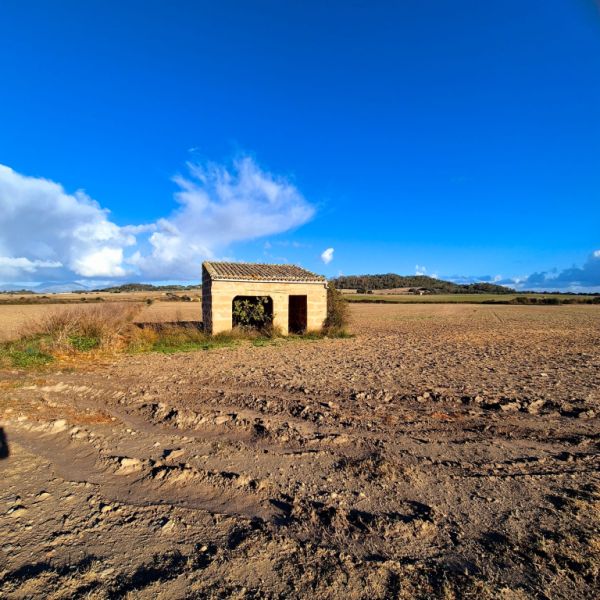Bau Grundstück zu Verkaufen zona Montuiri