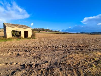 Bau Grundstück zu Verkaufen zona Montuiri