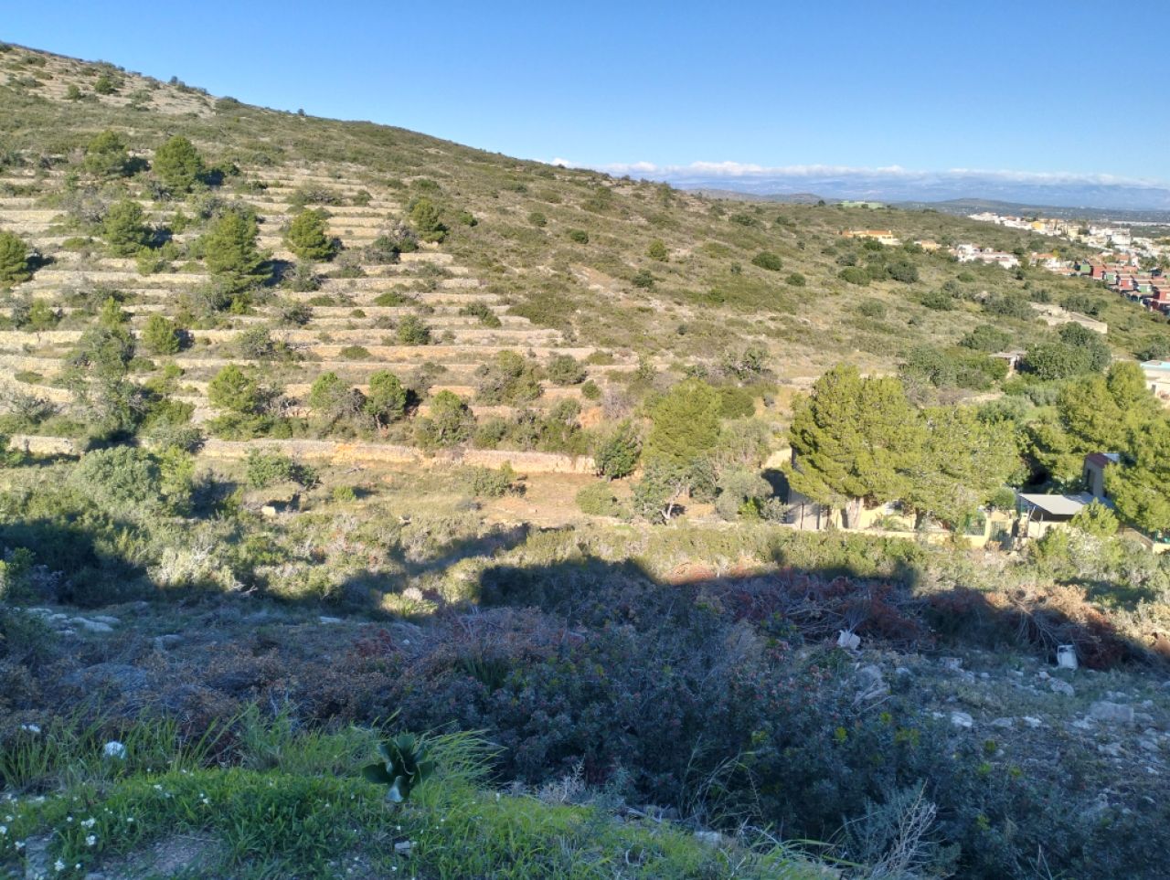 Solar urbano en Peñiscola