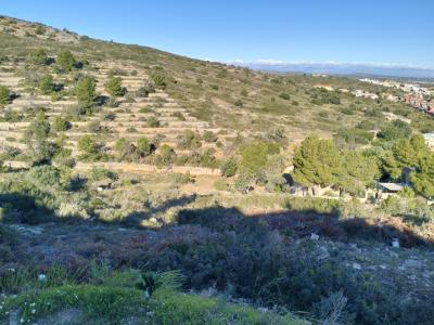 Solar urbano en Peñiscola