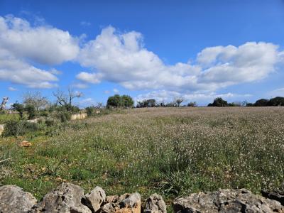 Building plot in Santa Margalida, Mallorca