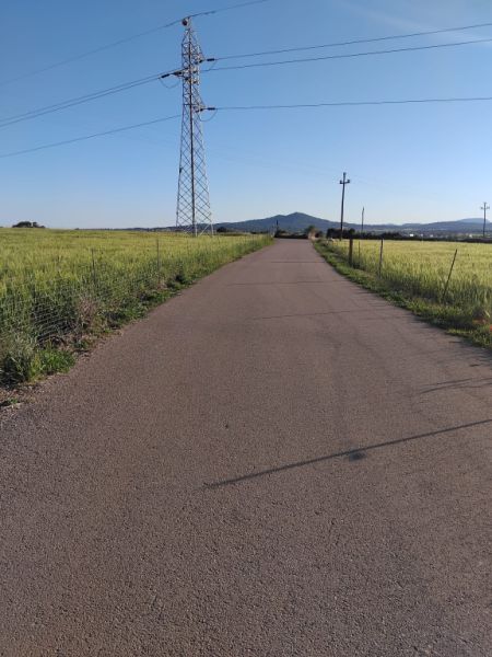 Se vende terreno edificable en Ariany   50.000M2