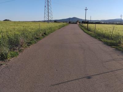 Se vende terreno edificable en Ariany   50.000M2