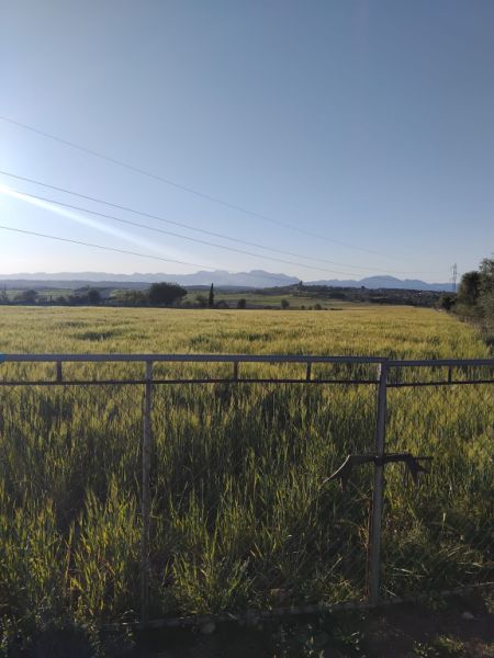 Se vende terreno edificable en Ariany   50.000M2