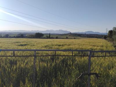 Se vende terreno edificable en Ariany   50.000M2