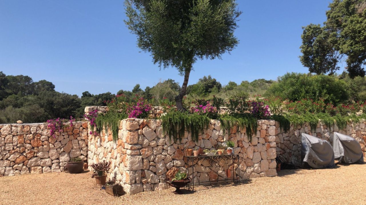 Bauwesen Zimmermannsdecken aus Holz und Aluminium