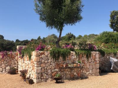 Bauwesen Zimmermannsdecken aus Holz und Aluminium