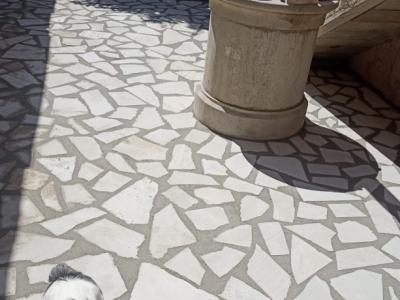 Bauwesen Zimmermannsdecken aus Holz und Aluminium