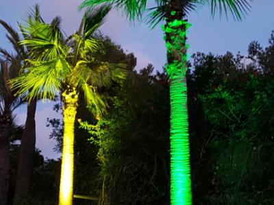 Iluminación para casa y jardín