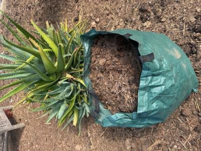Besser & günstiger als Blumenerde: 80 Liter Pferdemist (Lieferung möglich)