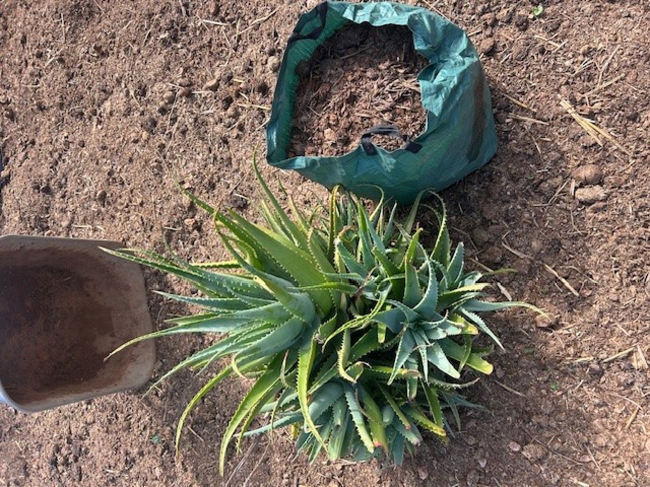 Besser & günstiger als Blumenerde: 80 Liter Pferdemist (Lieferung möglich)