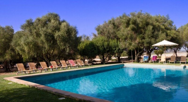 Biete Poolreinigung im Südosten an...