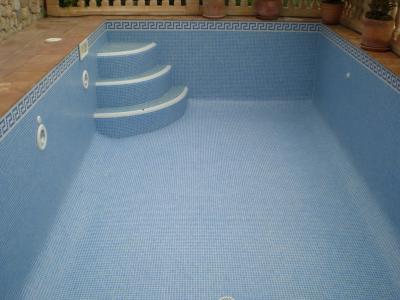 Biete Poolreinigung im Südosten an...