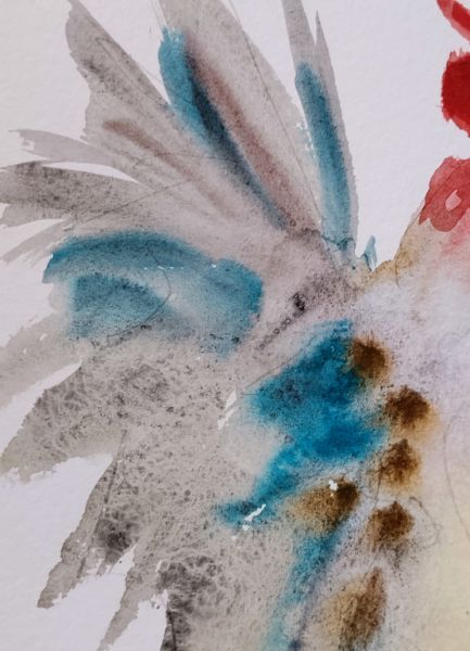 Blue and Red Rooster