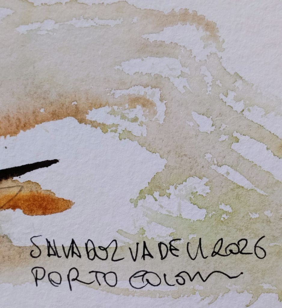 Blue and Red Rooster