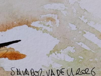 Blue and Red Rooster